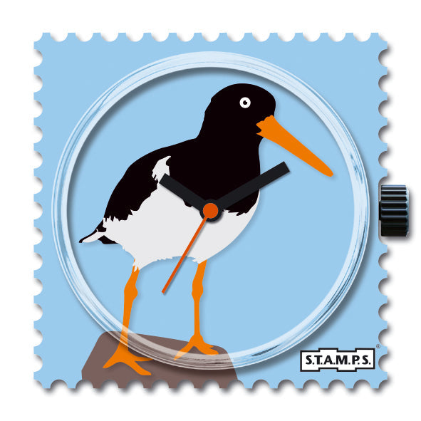 105915_Aari