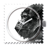 live_freeiPhmmTMWsHLGR